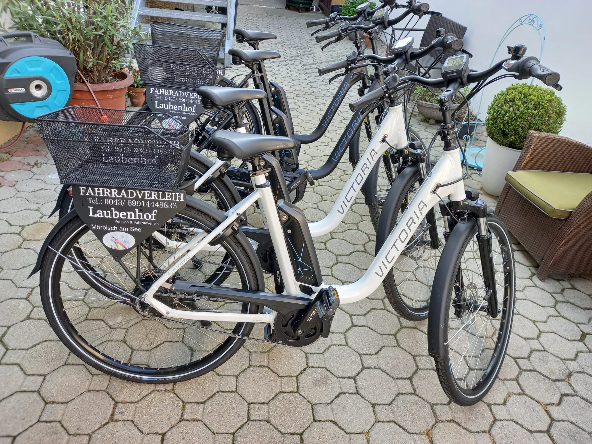 Fahrradverleih Laubenhof in Mörbisch am See Burgenland